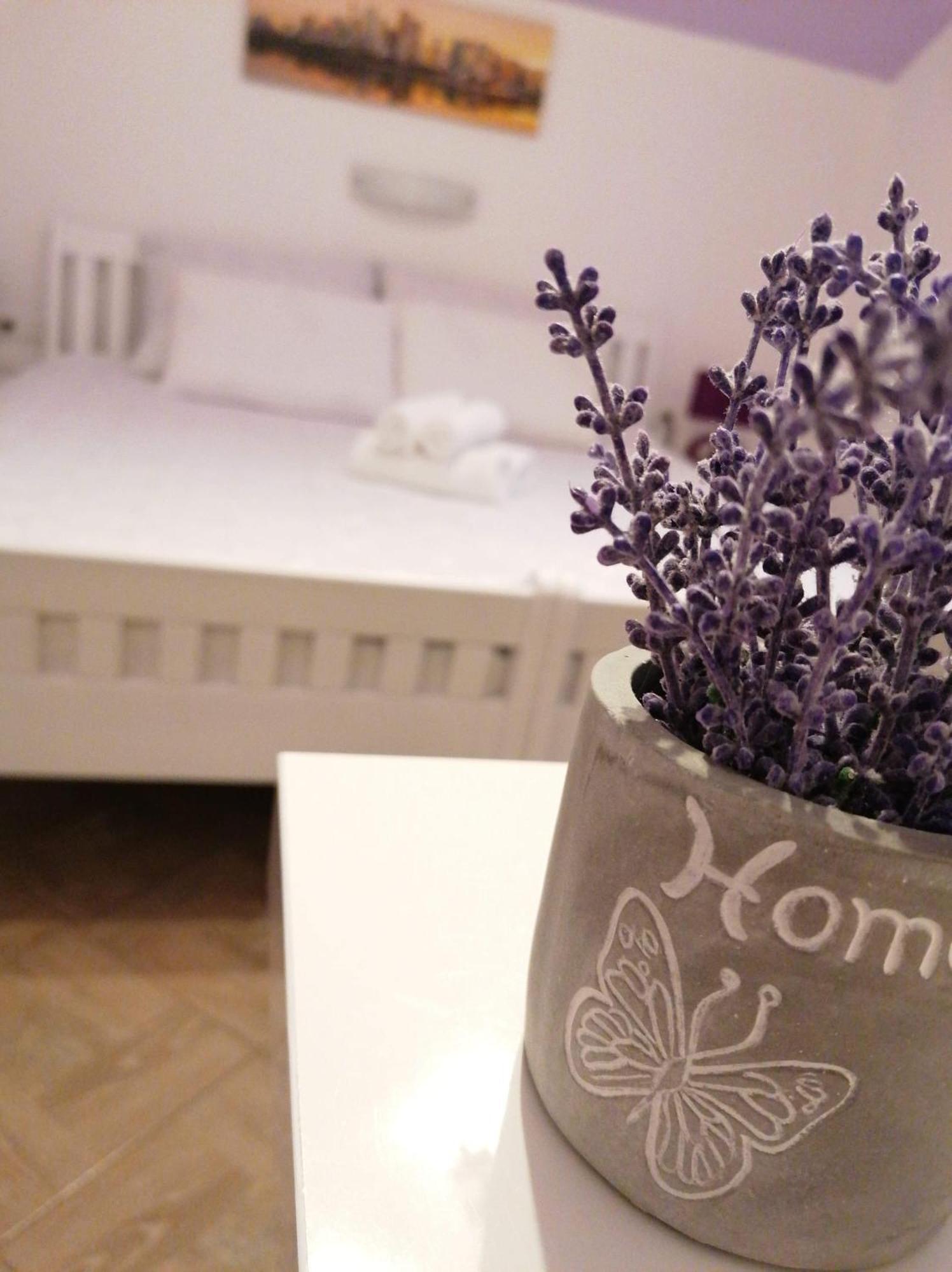 Guest House Macic Korenica Camera foto